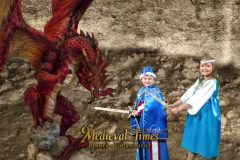 Dragon Green Screen