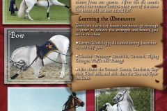 Horse Display